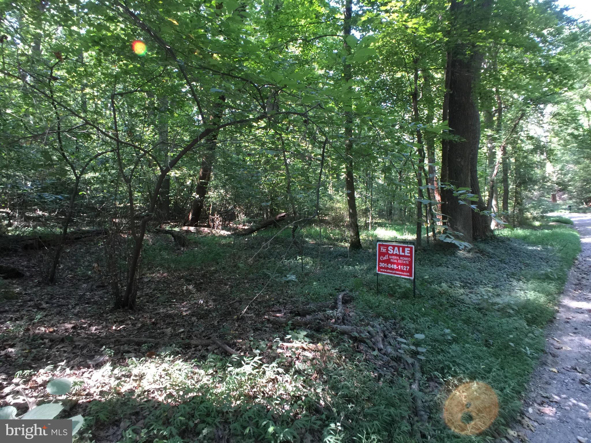Bonds Retreat Road Accokeek, MD 20607 - Photo 3 of 6 Moyaone Reserve Building Lot