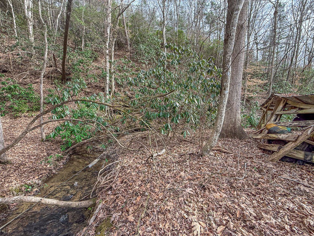 1098 Rowland Hill Road Marble, NC 28905 - Photo 20 of 26