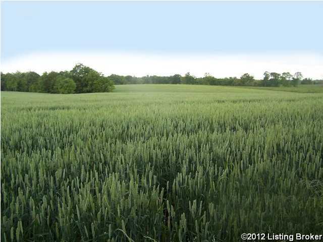4 Benson Road Shelbyville, KY 40065 - Photo 3 of 3 Additional Photo