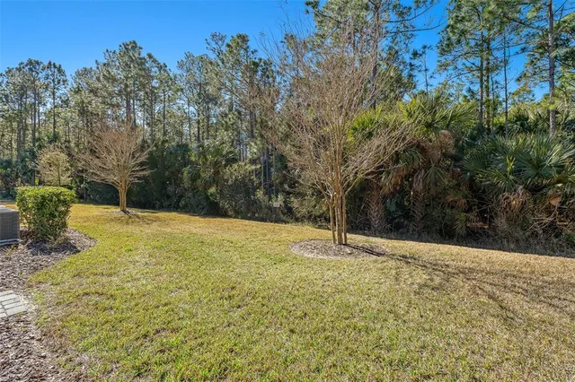 a view of yard with trees