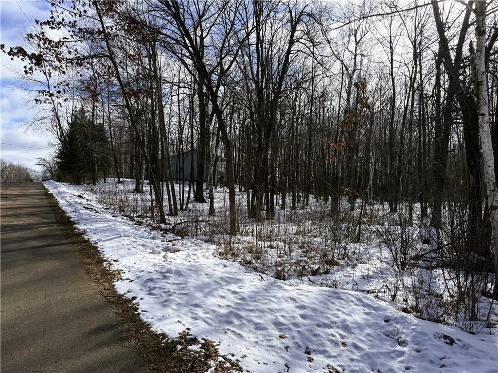 96 White Birch Ridge Road Ladysmith, WI 54848 - Photo 14 of 16