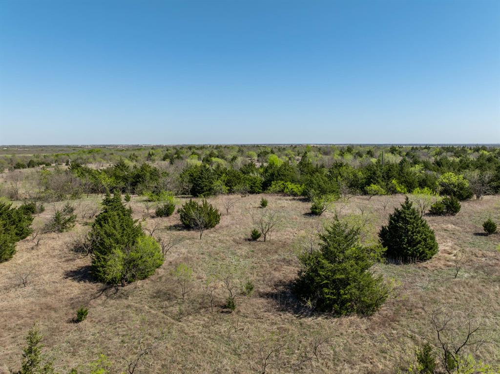 843 Lake Ridge Road Italy, TX 76651 - Photo 16 of 22 Gallery Image 16