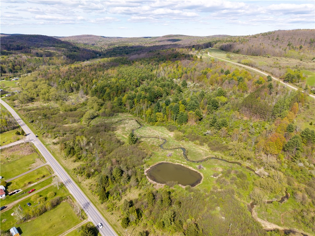 0 County Route 13 Bath, NY 14810 - Photo 4 of 26