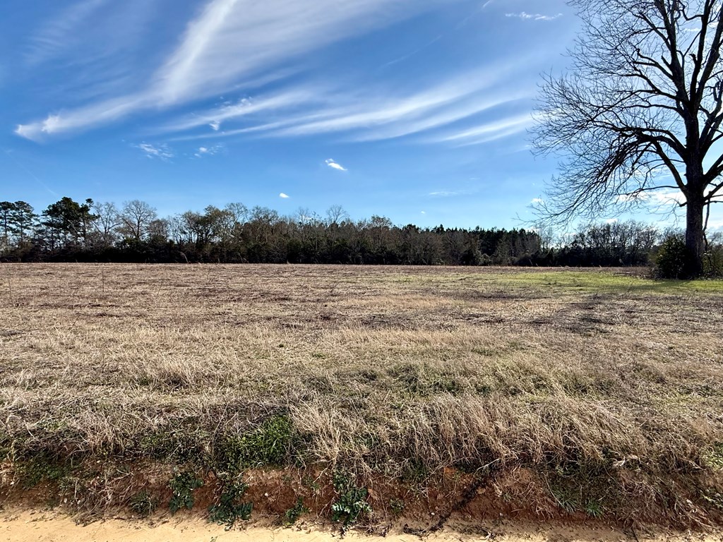 10.73-acres Huskey Road Dothan, AL 36303 - Photo 4 of 13