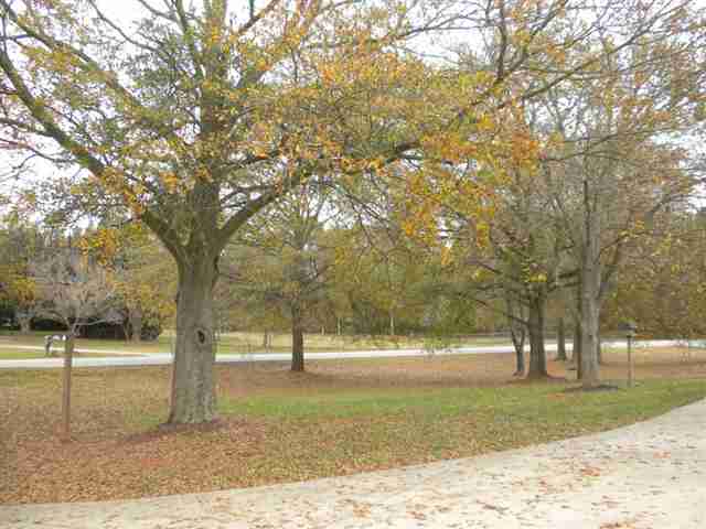 1607 Centerville Road Anderson, SC 29625 - Photo 8 of 25