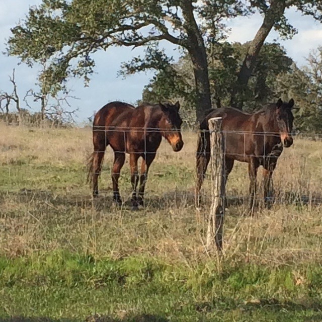 1561 Cr 154 Road Weimar, TX 78962 - Photo 46 of 46