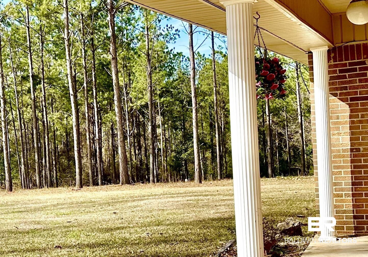 2772 Ramah Road Evergreen, AL 36401 - Photo 9 of 12 Exterior space