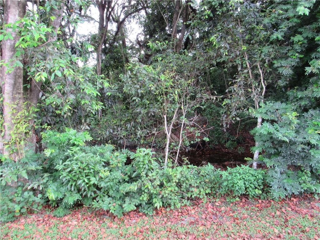 3381 Overlook Road Davie, FL 33328 - Photo 31 of 34 NATURAL PRESERVE/CREEK