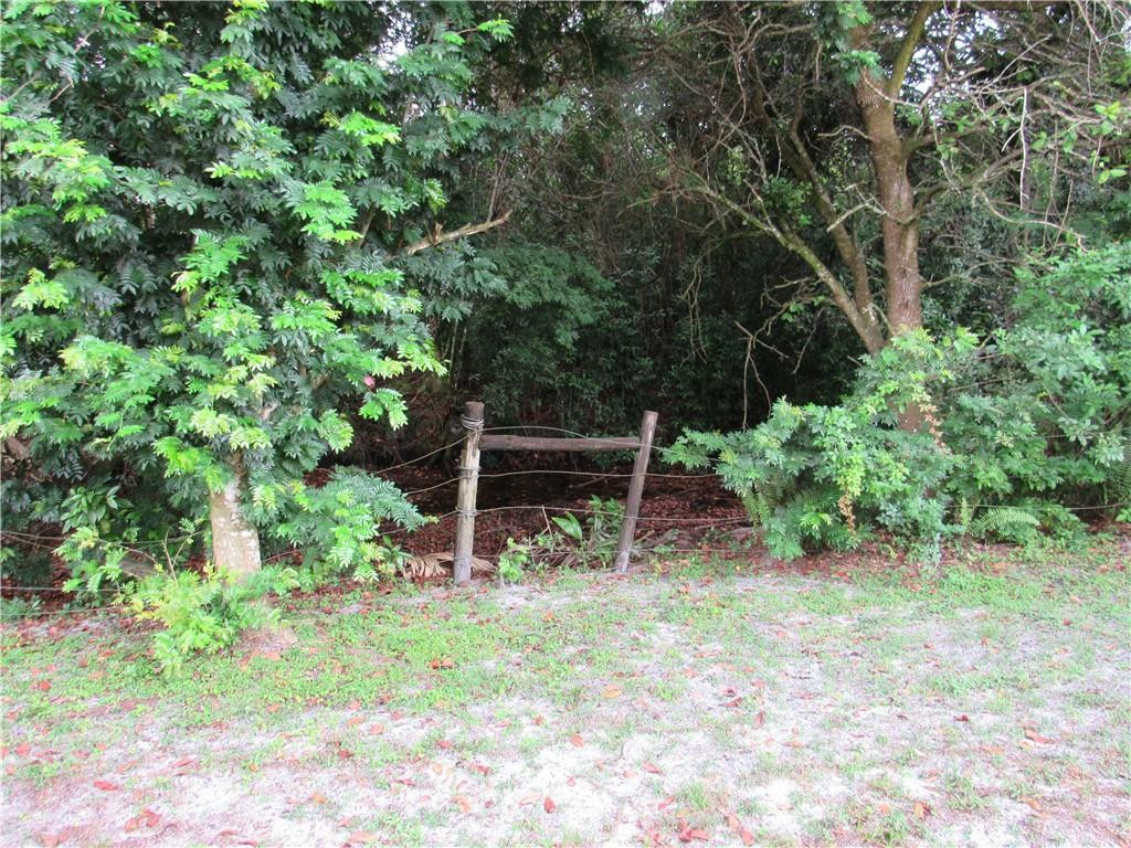 3381 Overlook Road Davie, FL 33328 - Photo 32 of 34 NATURAL PRESERVE/CREEK