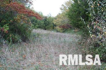 11025 Shadow Road Marion, IL 62959 - Photo 3 of 14