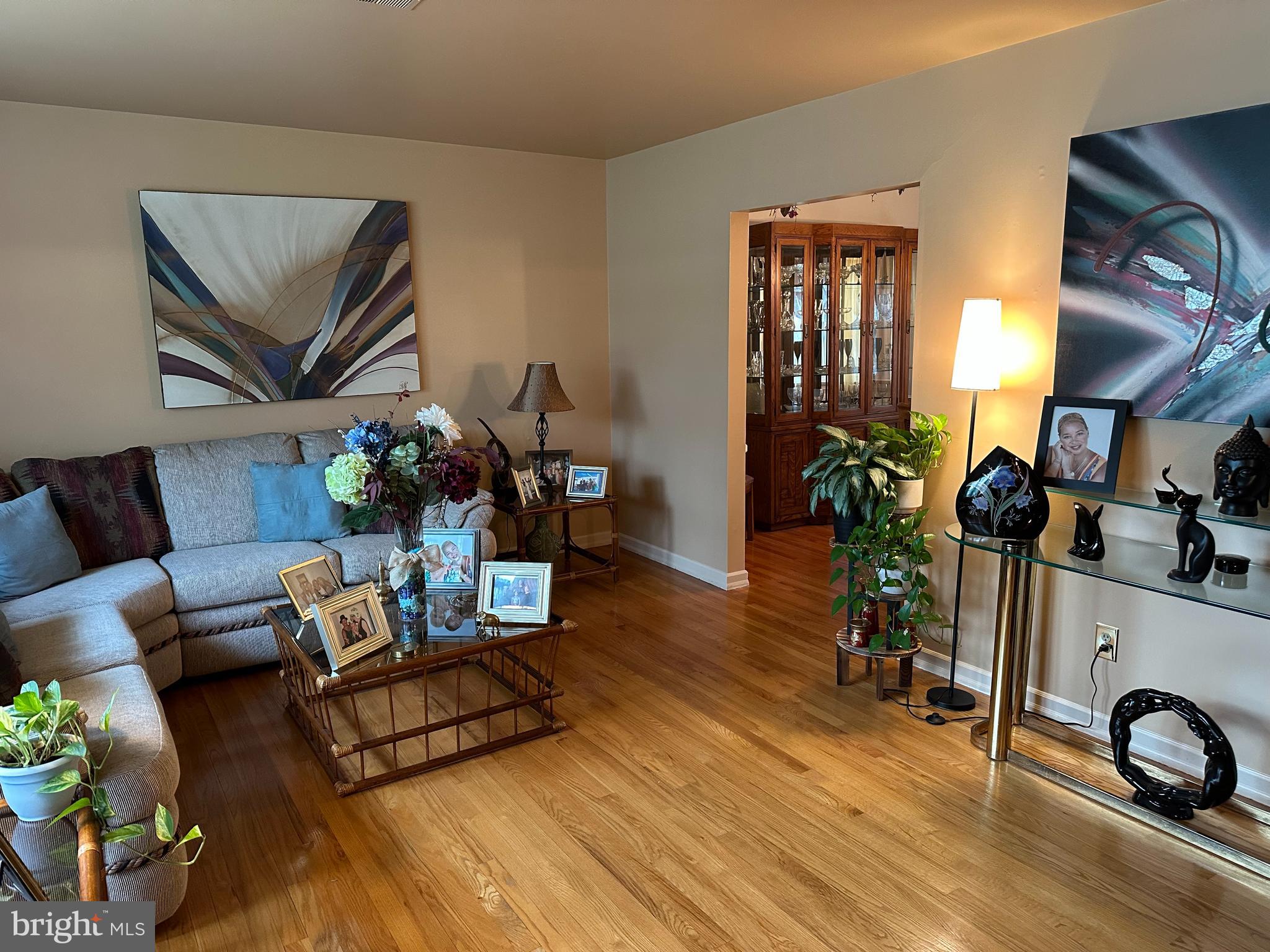 320 West Orvilla Road Hatfield, PA 19440 - Photo 7 of 46 a living room with furniture a potted plant and a fireplace