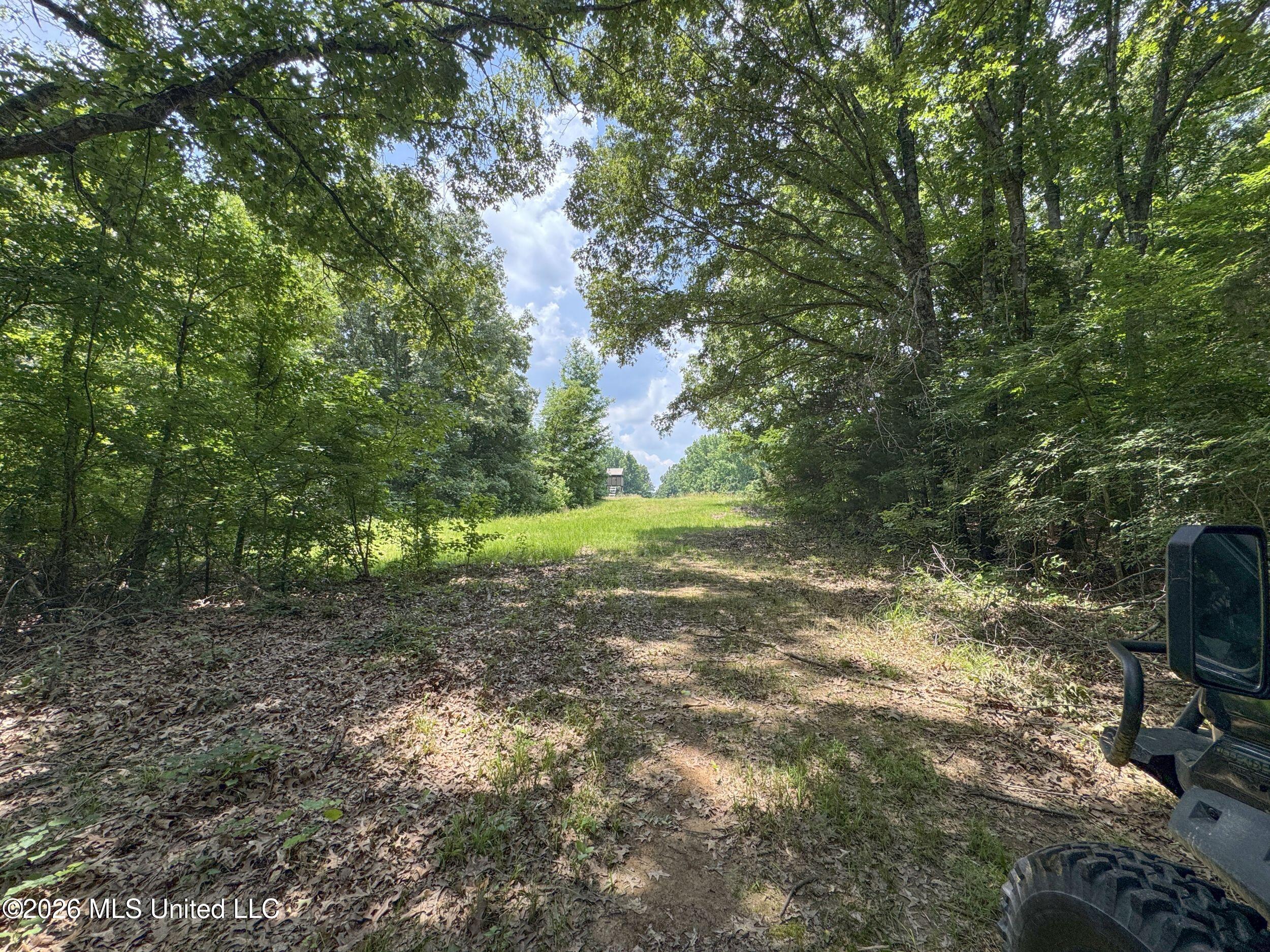 884 Avant Road Crenshaw, MS 38621 - Photo 101 of 154 6dbyicr39