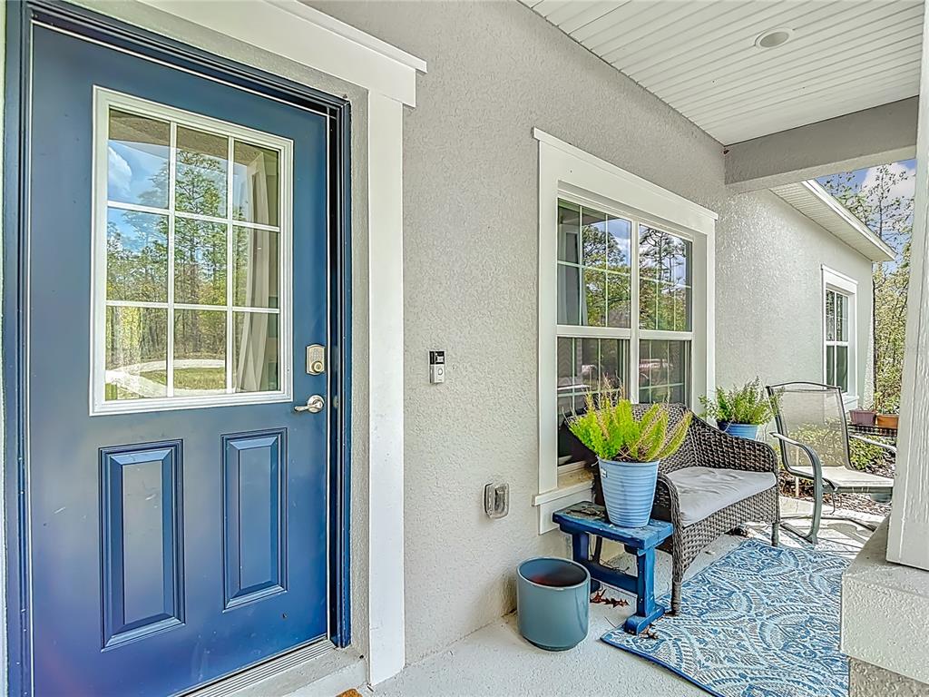 15062 Mt Ivy Road Weeki Wachee, FL 34614 - Photo 2 of 64