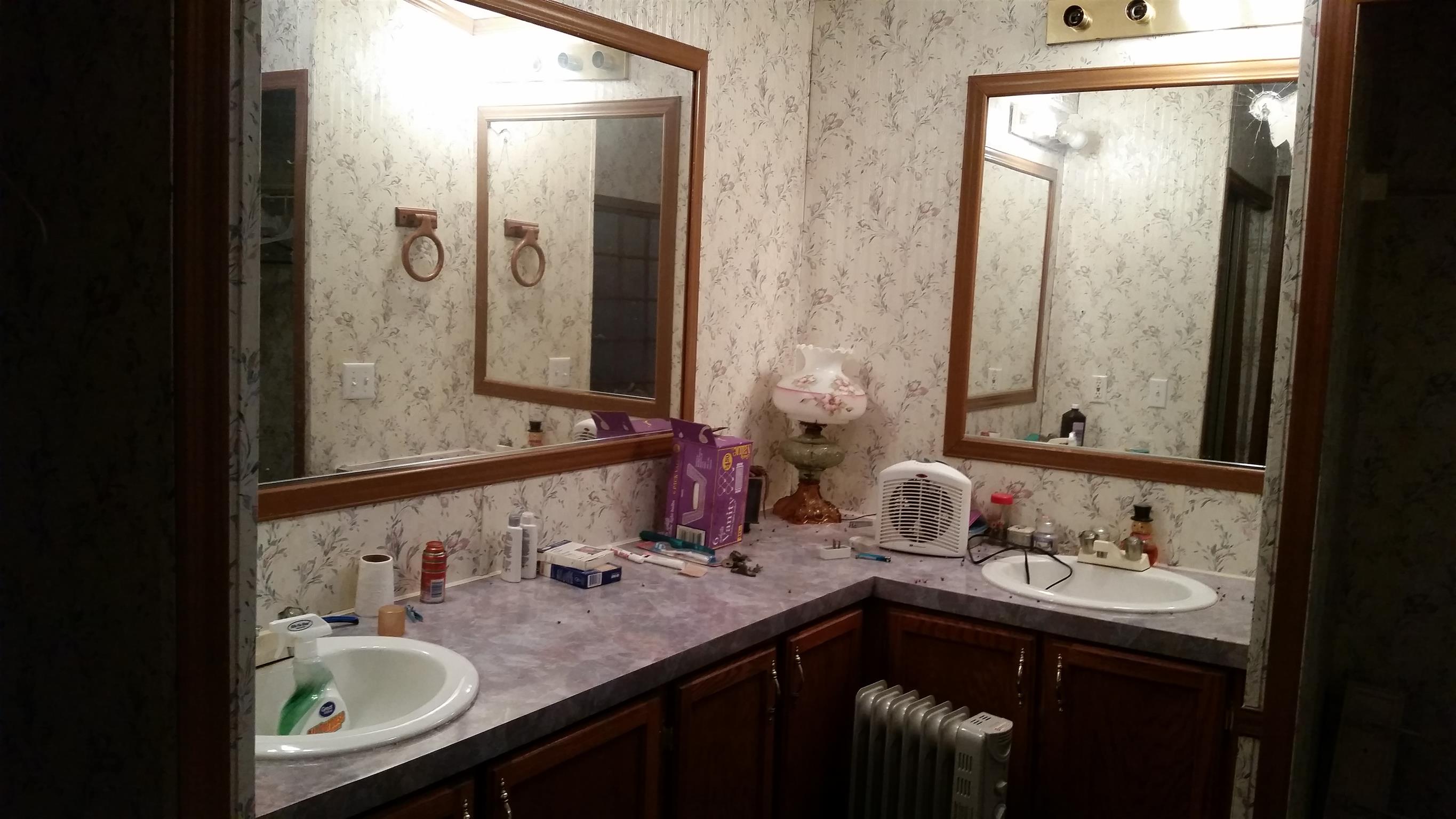 277 Hiwassee Road Lebanon, TN 37087 - Photo 11 of 15 a bathroom with double vanity sinks and a mirror