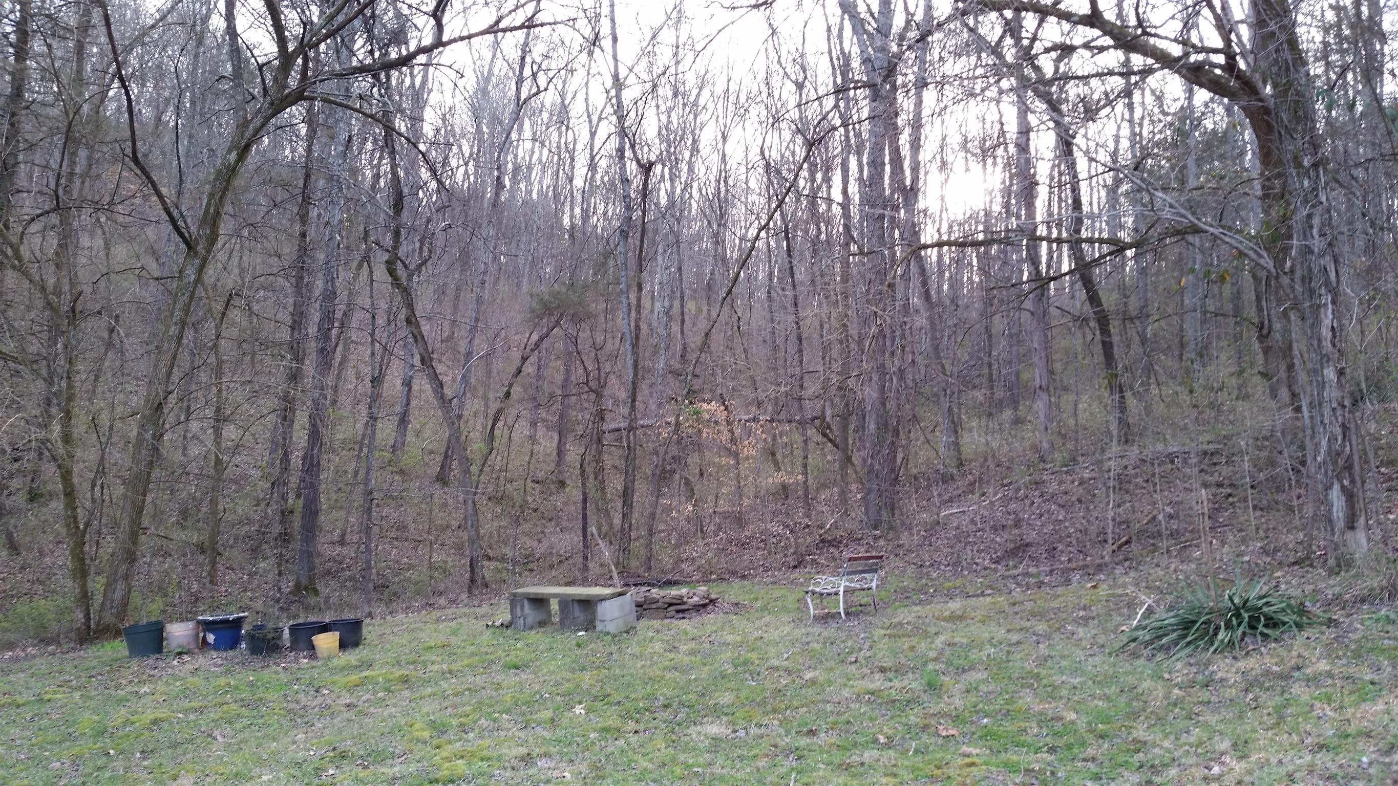 277 Hiwassee Road Lebanon, TN 37087 - Photo 7 of 15 a backyard of a house with plants and large trees