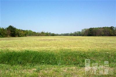0 Bearskin Road Clinton, NC 28328 - Photo 2 of 7 Additional Photo