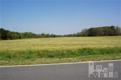 0 Bearskin Road Clinton, NC 28328 - Photo 3 of 7 Additional Photo