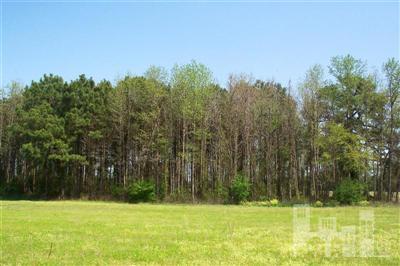 0 Bearskin Road Clinton, NC 28328 - Photo 5 of 7 Additional Photo