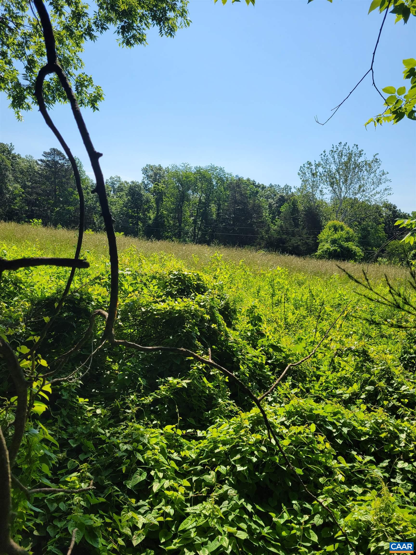 0 Gilbert Road Ruckersville, VA 22968 - Photo 2 of 2 a view of a garden