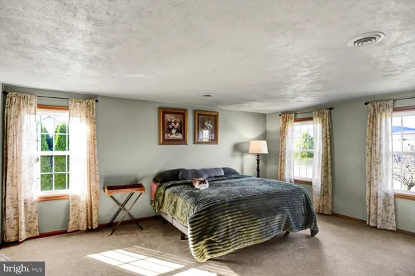 a bedroom with a bed and a television