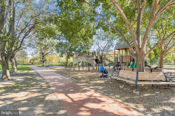 a street view with large trees