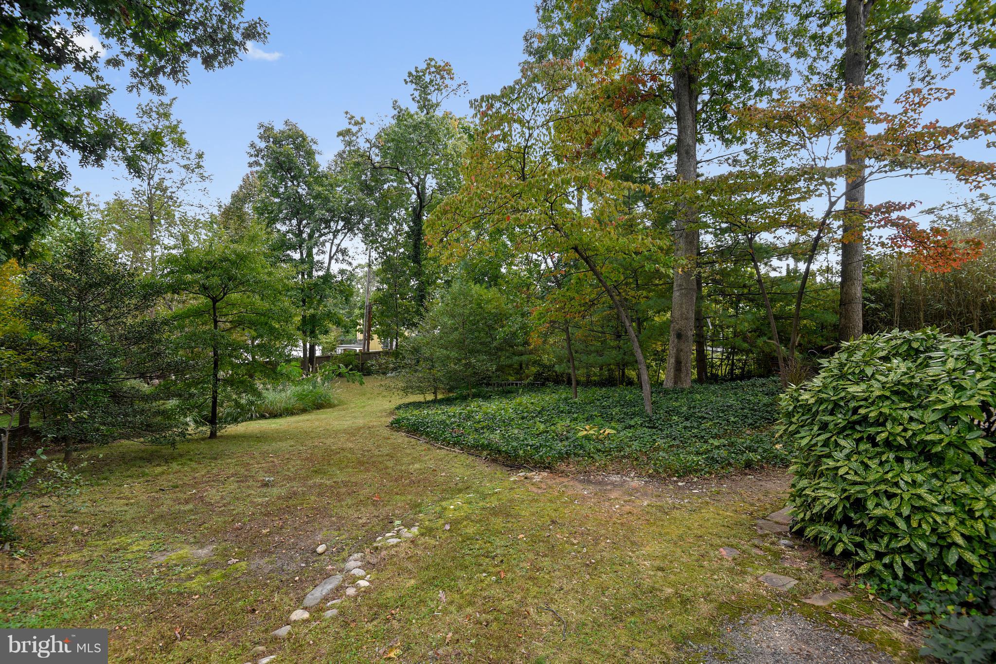 3305 Cameron Mills Road Alexandria, VA 22302 - Photo 26 of 30 Over 11,000 sq. ft plot