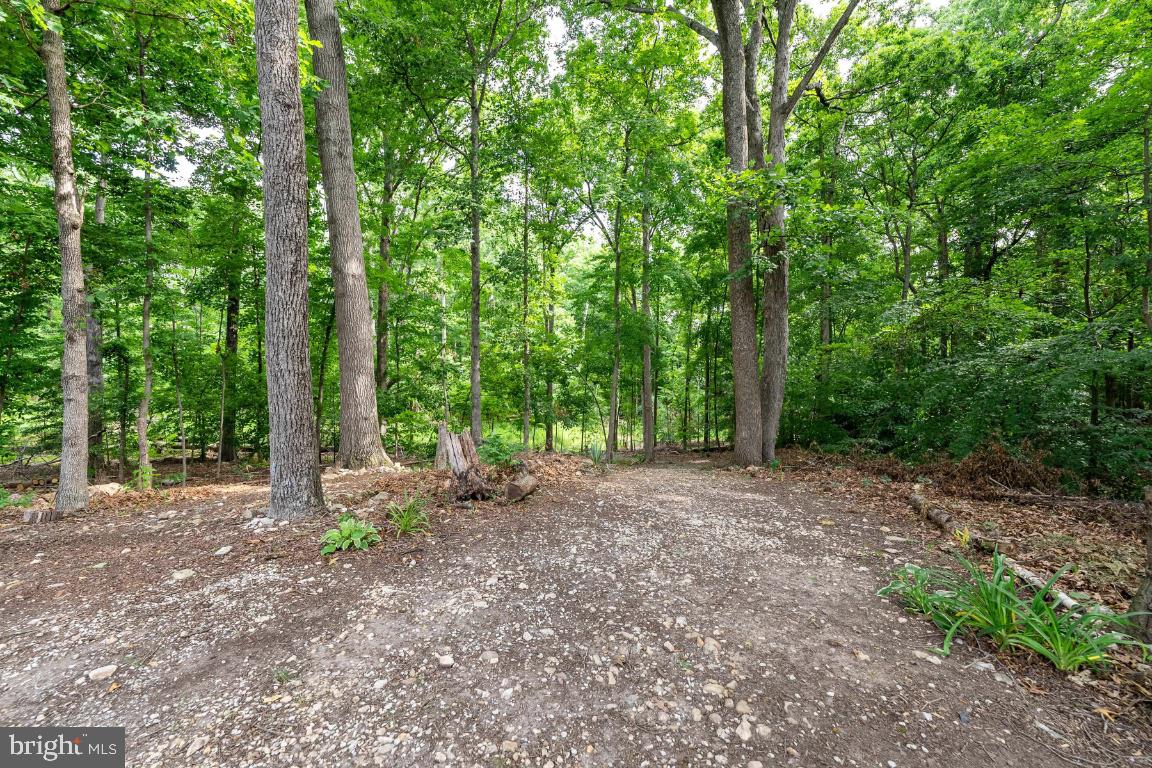 8280 Raindrop Way Springfield, VA 22153 - Photo 7 of 52 Gallery Image 7