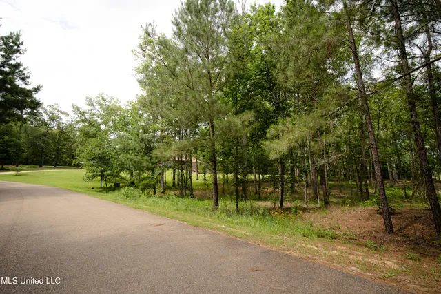 $125,000 | Danielle Cove, Brandon, MS 39042