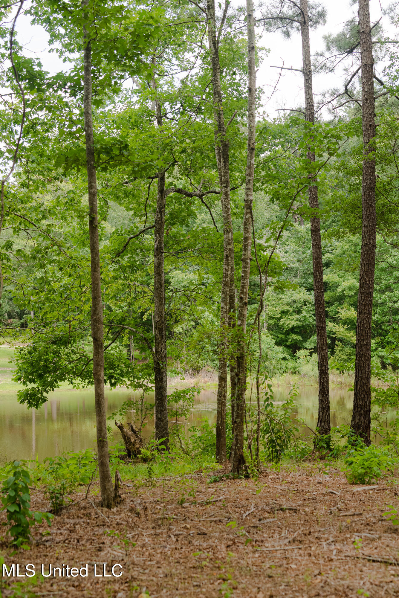 Danielle Cove Brandon, MS 39042 - Photo 11 of 28 Rankin 2.11 Lot