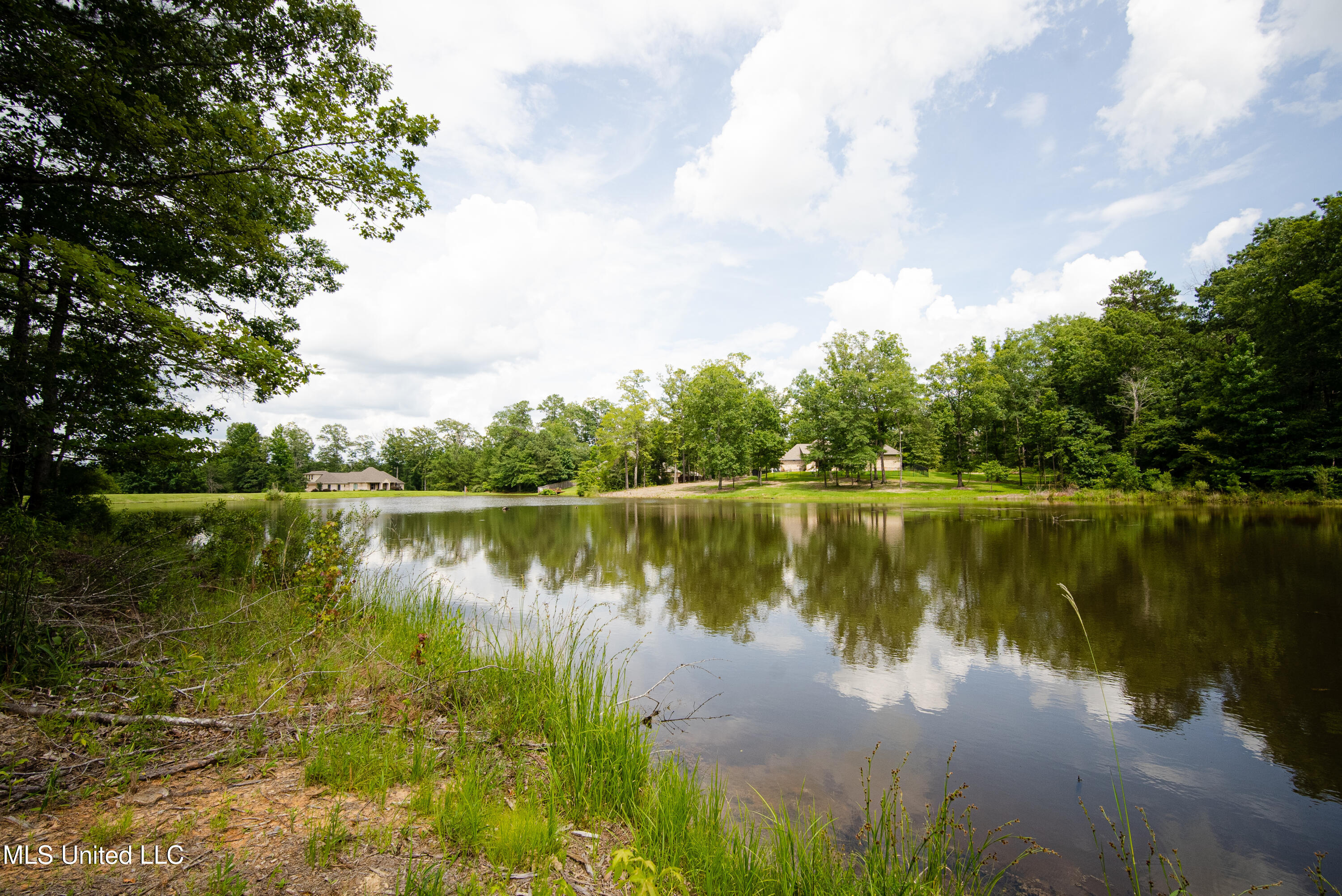Danielle Cove Brandon, MS 39042 - Photo 12 of 28 Rankin 2.11 Lot