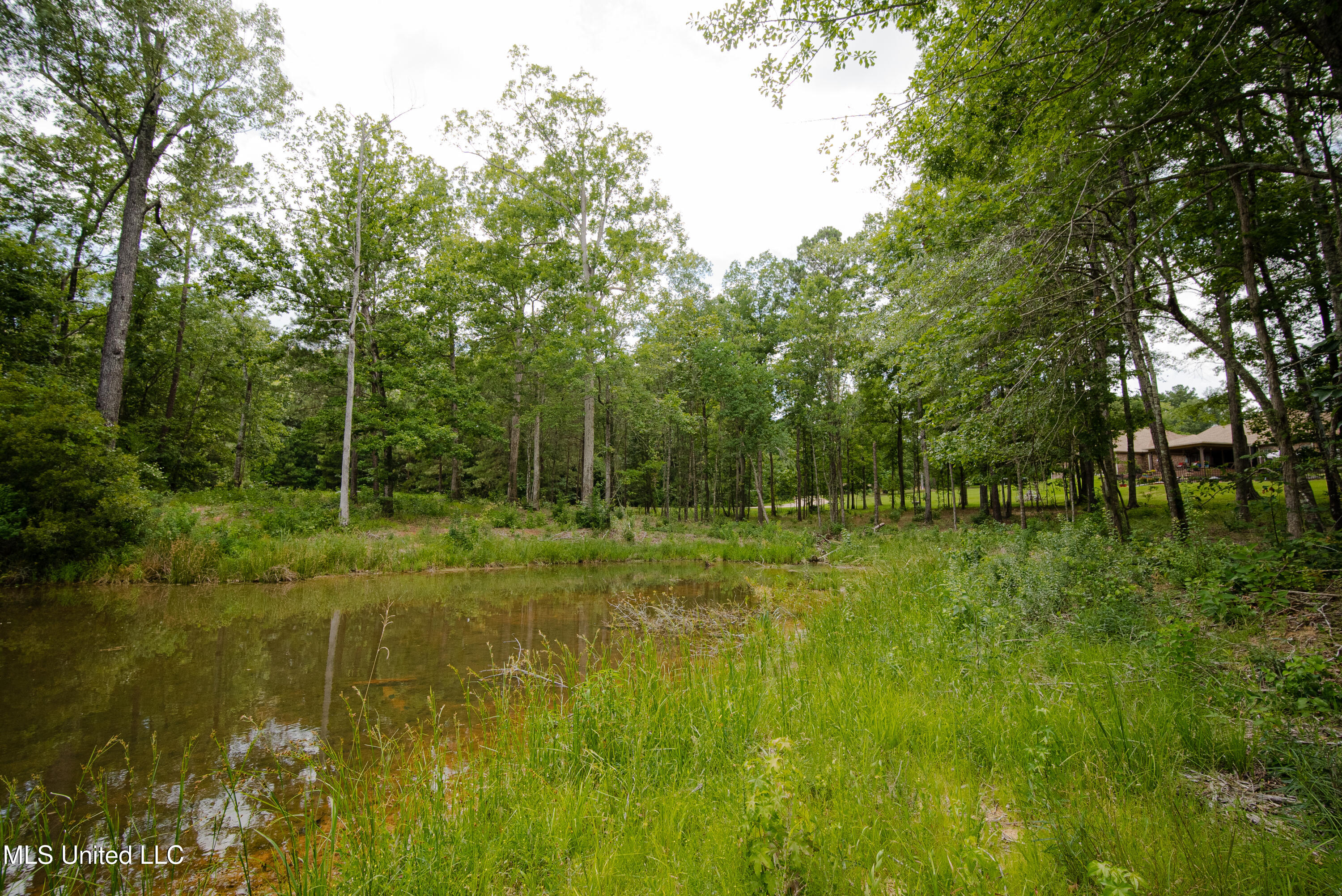 Danielle Cove Brandon, MS 39042 - Photo 13 of 28 Rankin 2.11 Lot