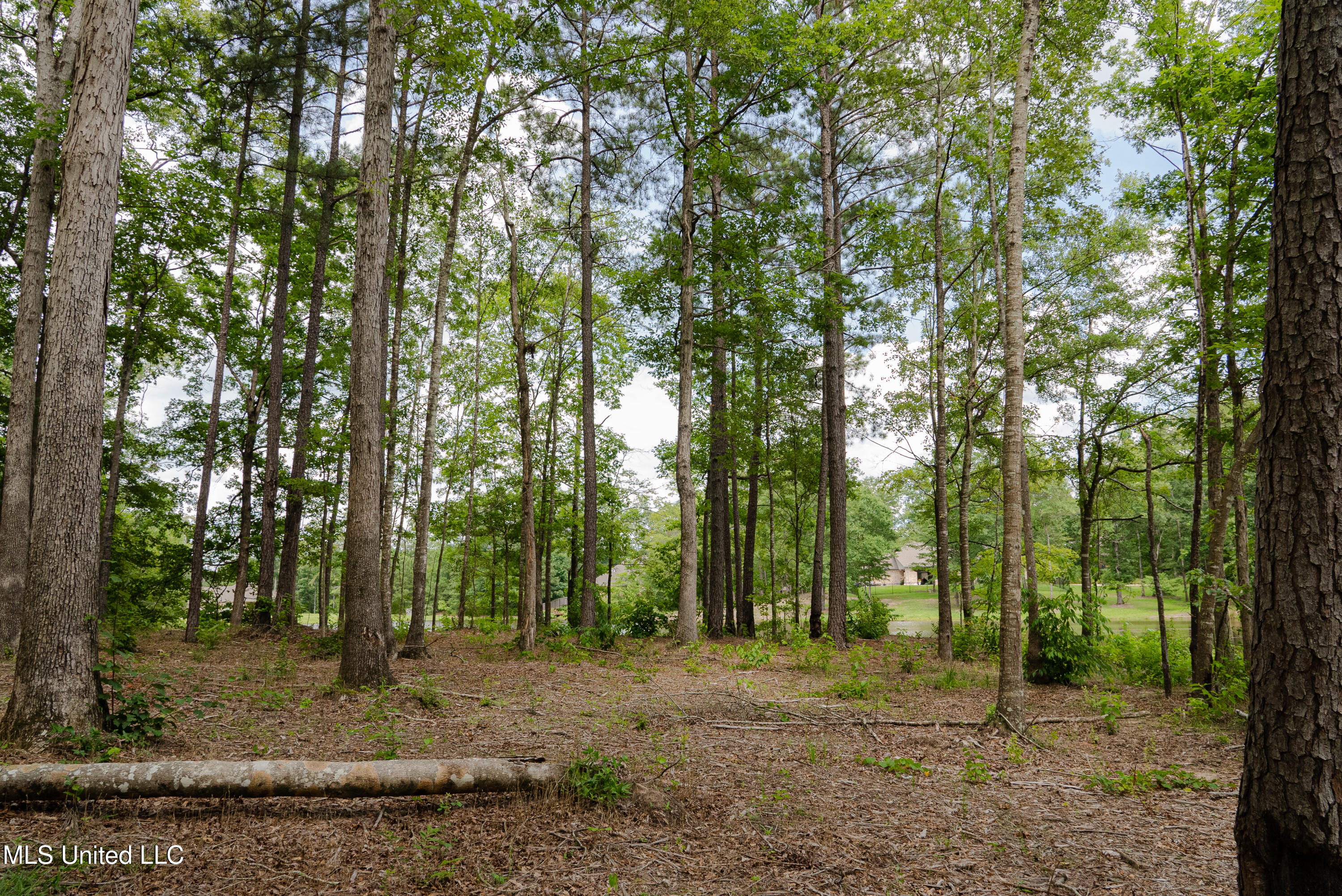 Danielle Cove Brandon, MS 39042 - Photo 14 of 28 Rankin 2.11 Lot