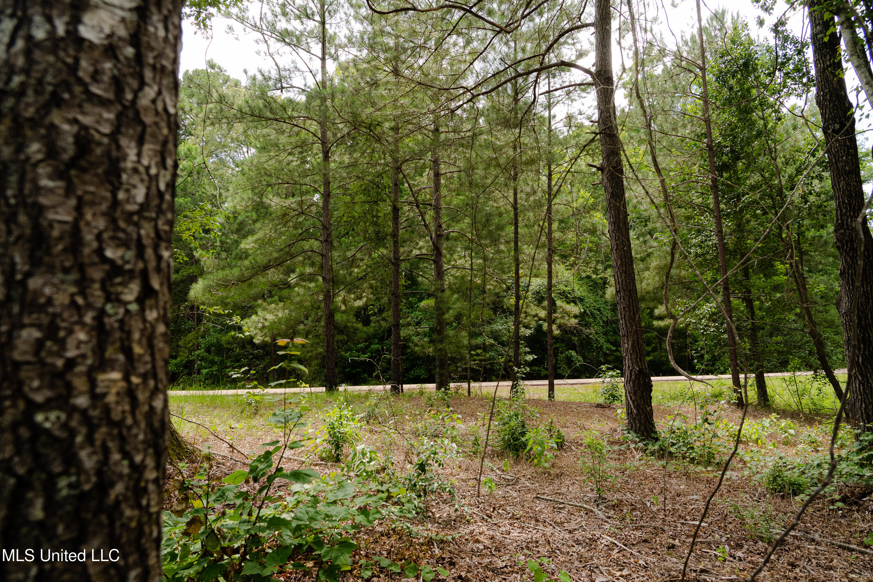 Danielle Cove Brandon, MS 39042 - Photo 16 of 28 Rankin 2.11 Lot
