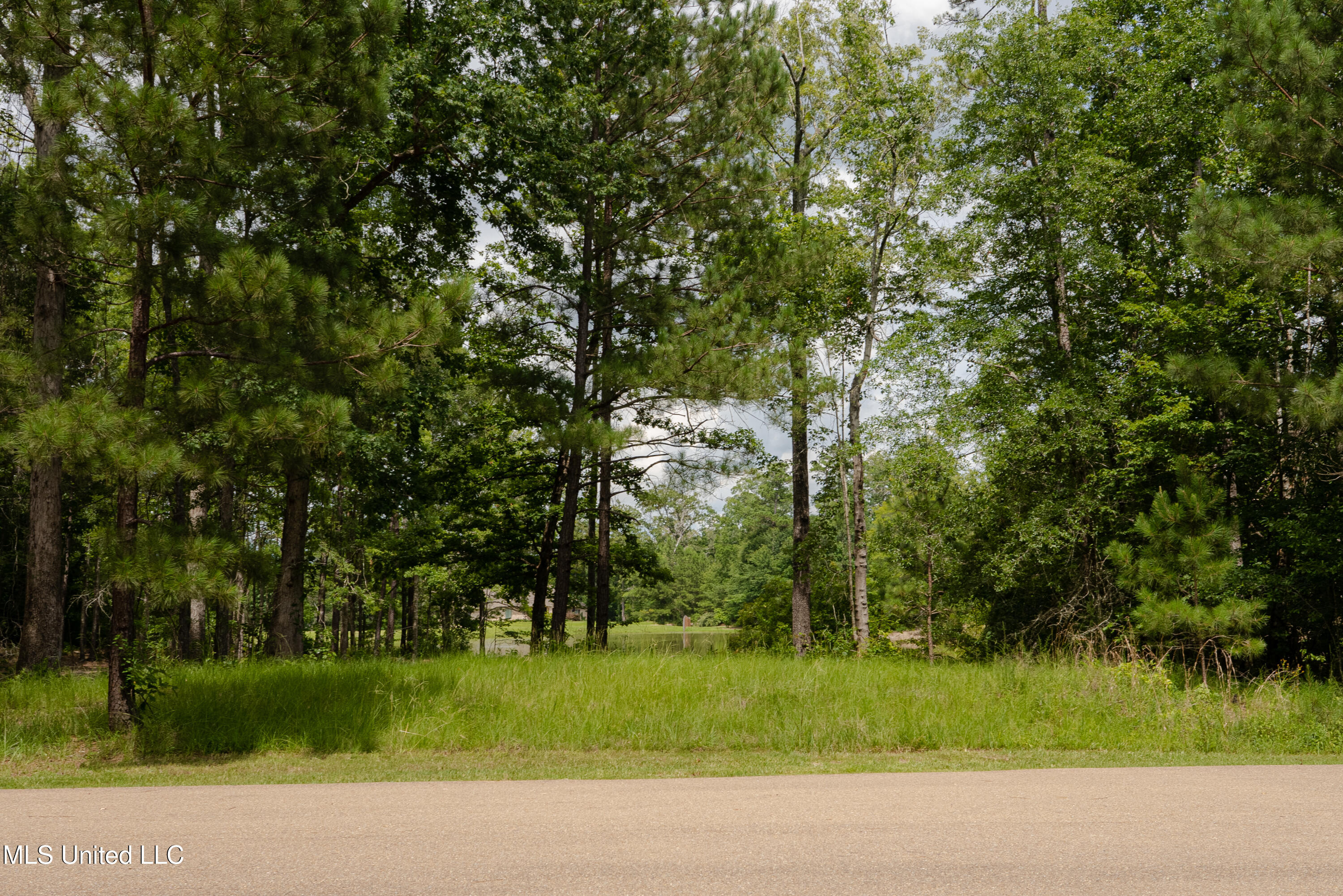Danielle Cove Brandon, MS 39042 - Photo 18 of 28 Rankin 2.11 Lot