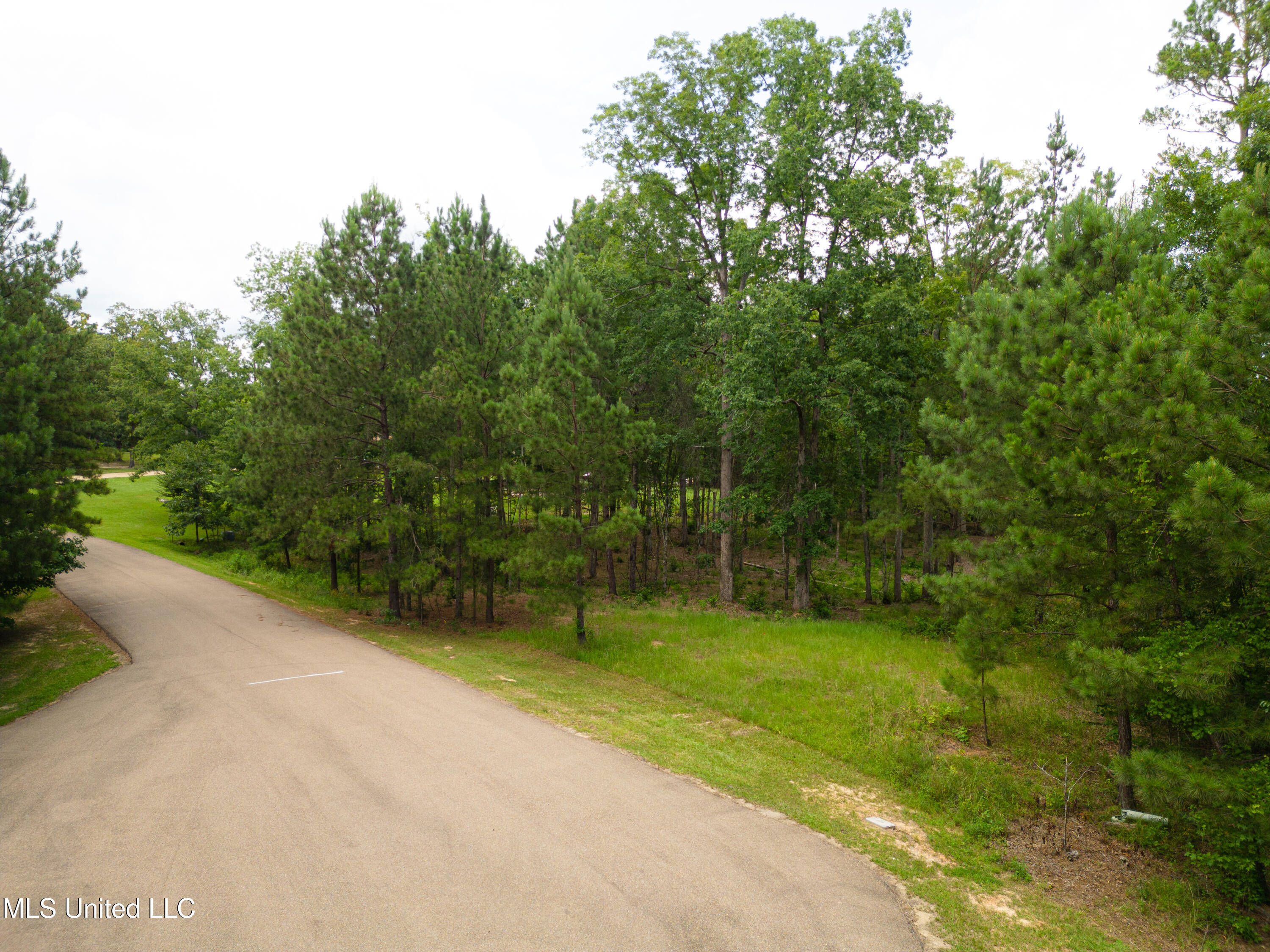 Danielle Cove Brandon, MS 39042 - Photo 19 of 28 Rankin 2.11 Lot