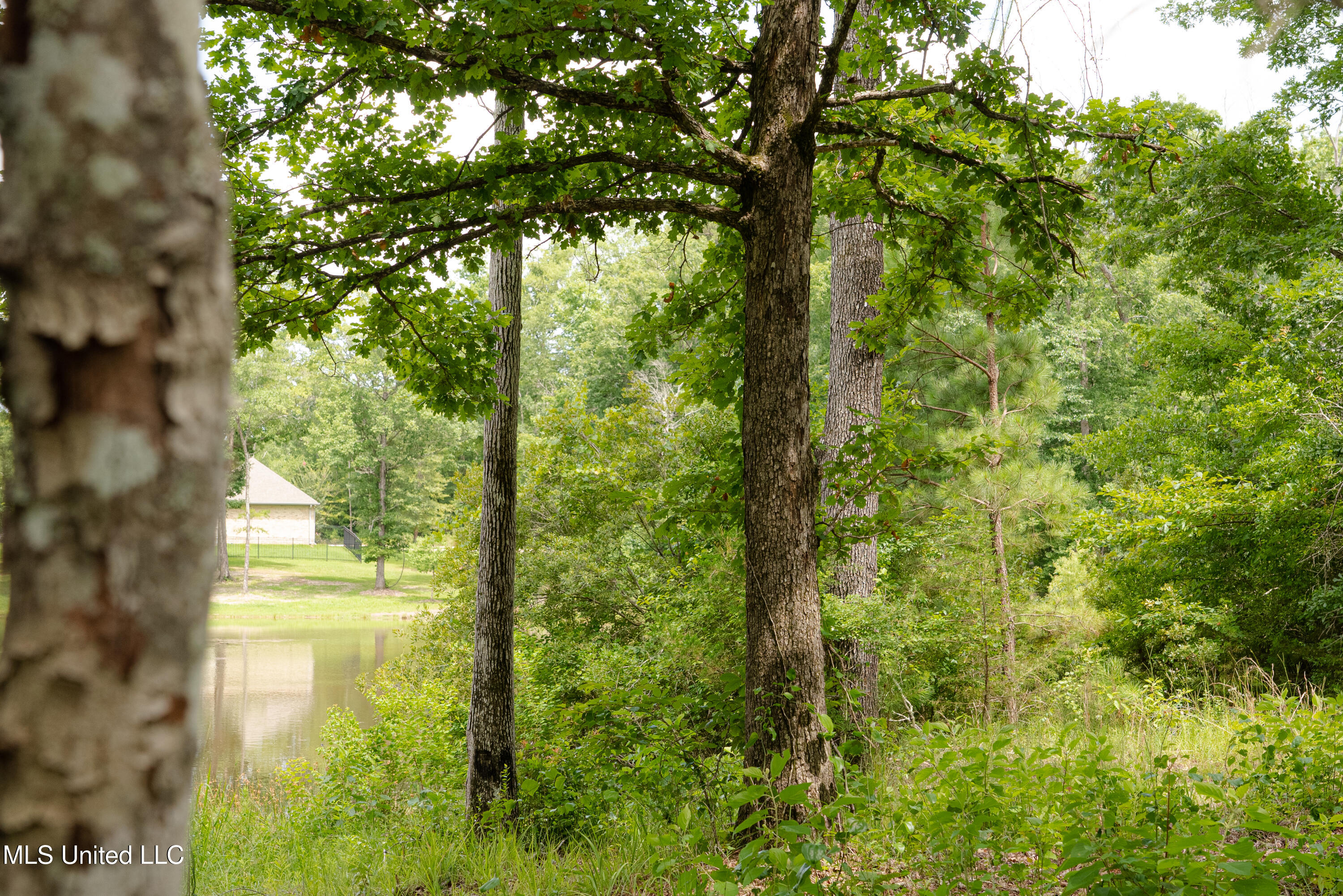 Danielle Cove Brandon, MS 39042 - Photo 2 of 28 Rankin 2.11 Lot