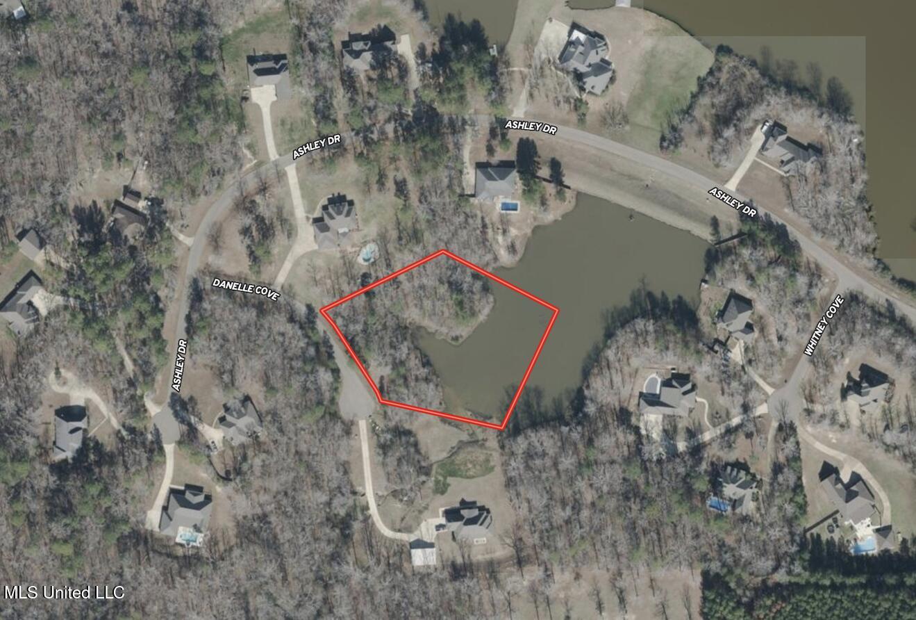 Danielle Cove Brandon, MS 39042 - Photo 27 of 28 Aerial