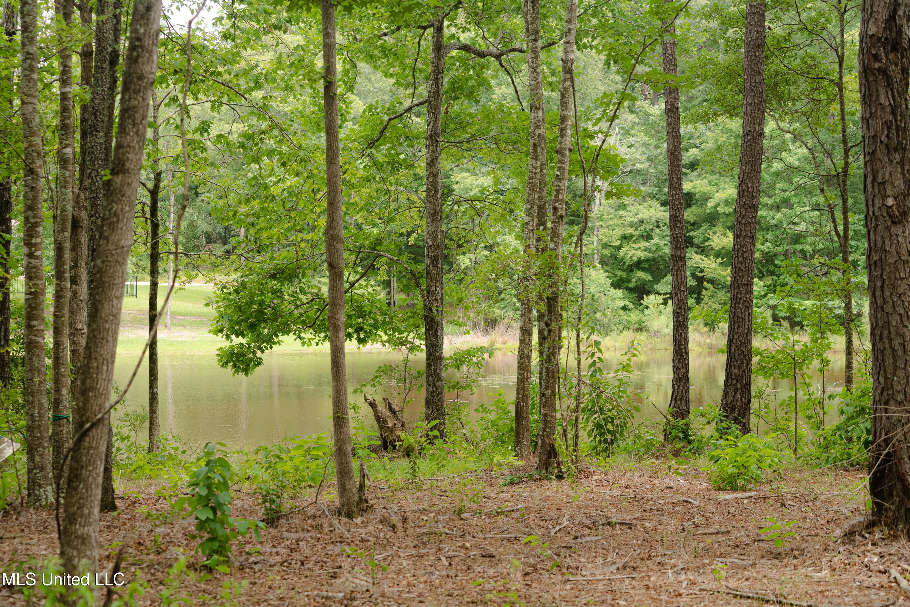 Danielle Cove Brandon, MS 39042 - Photo 4 of 28 Rankin 2.11 Lot