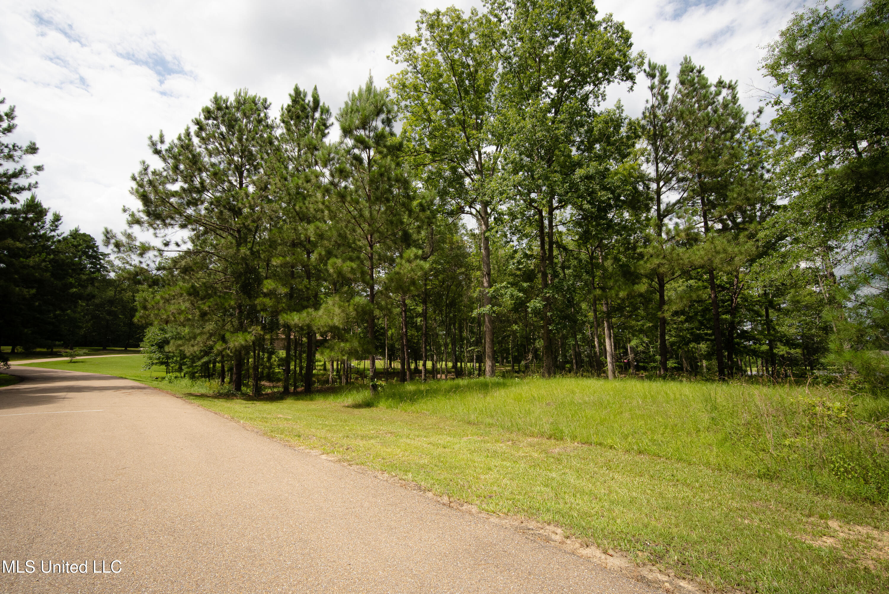 Danielle Cove Brandon, MS 39042 - Photo 5 of 28 Rankin 2.11 Lot