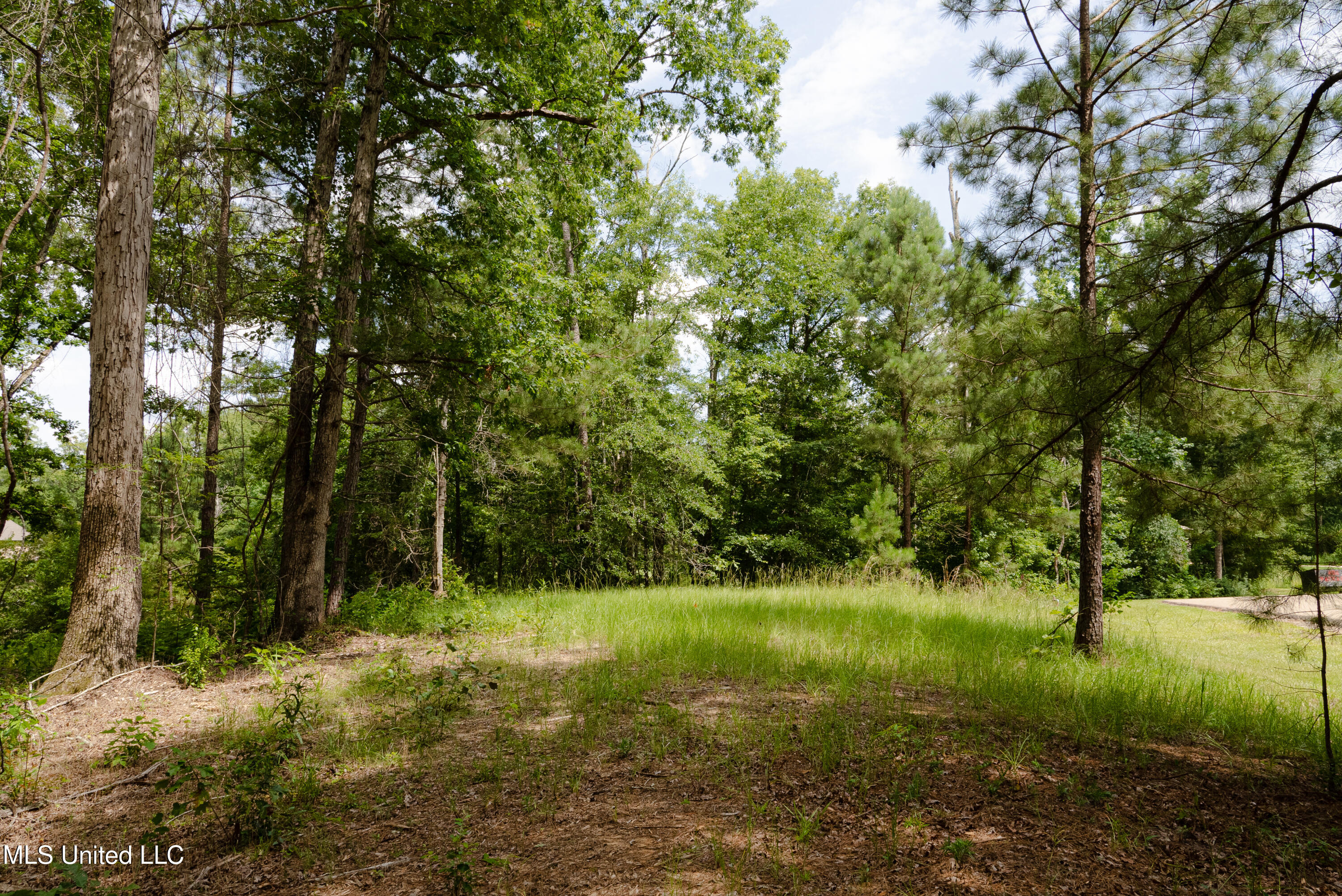 Danielle Cove Brandon, MS 39042 - Photo 6 of 28 Rankin 2.11 Lot