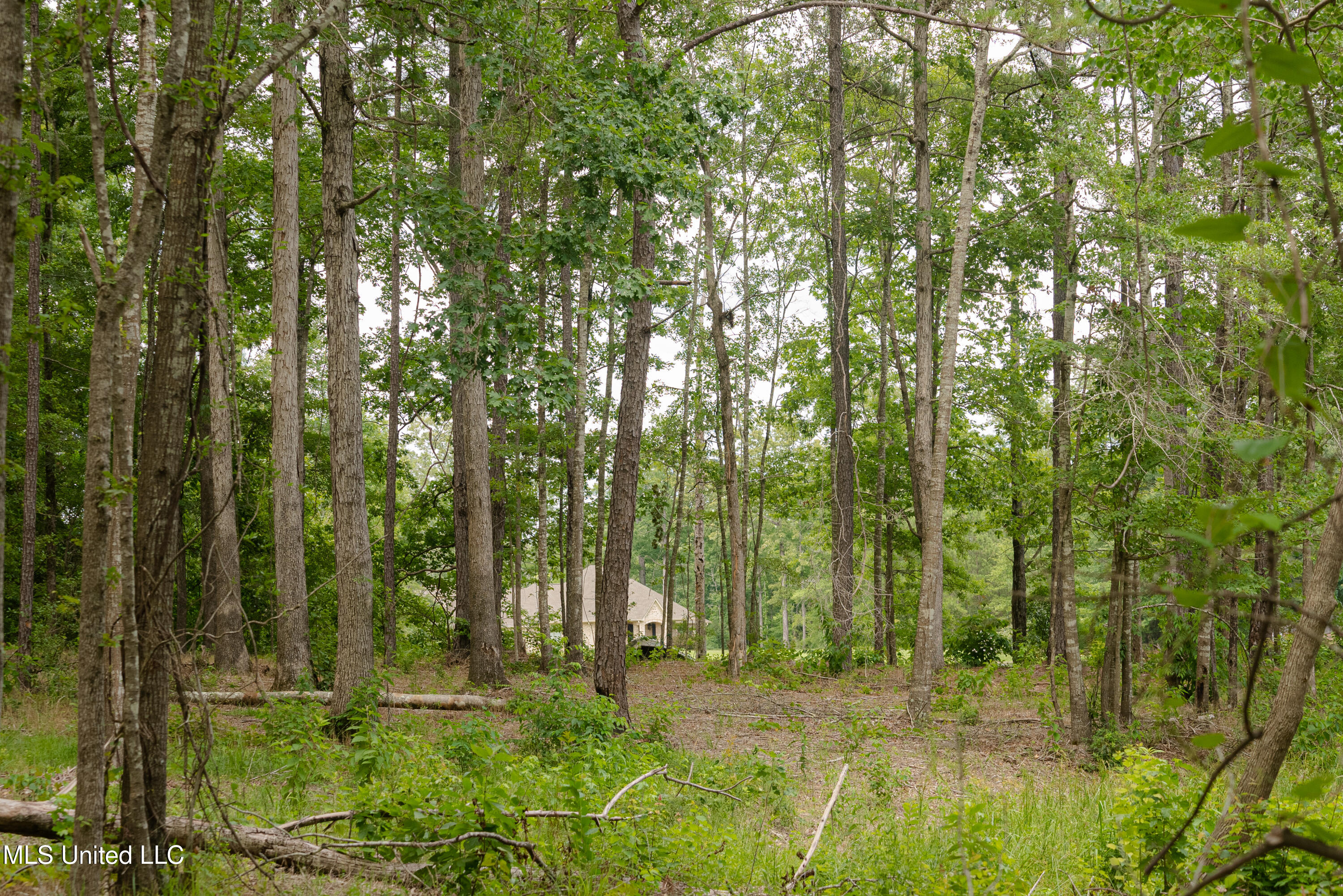 Danielle Cove Brandon, MS 39042 - Photo 7 of 28 Rankin 2.11 Lot