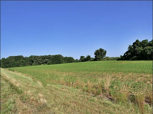a view of a lake with a yard