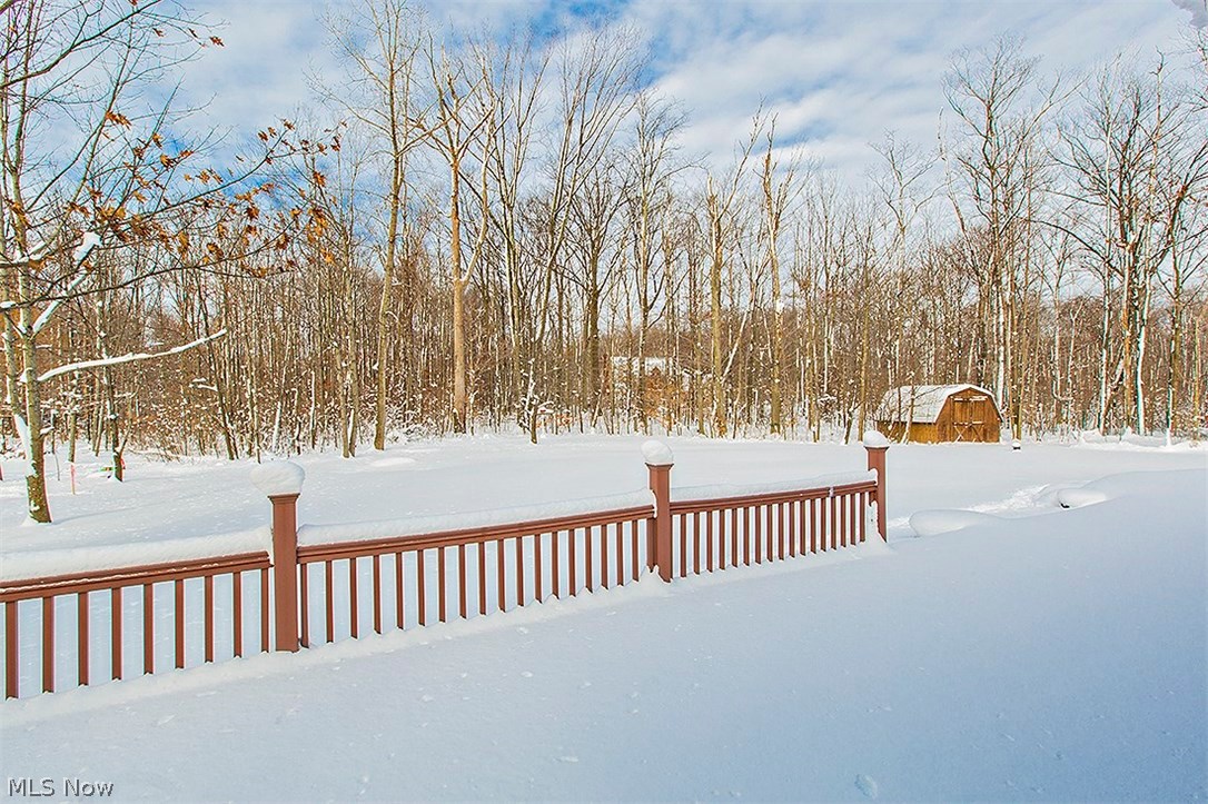 11575 Colburn Road Painesville, OH 44077 - Photo 2 of 23 Breath taking views from oversized 1000+sq ft deck.