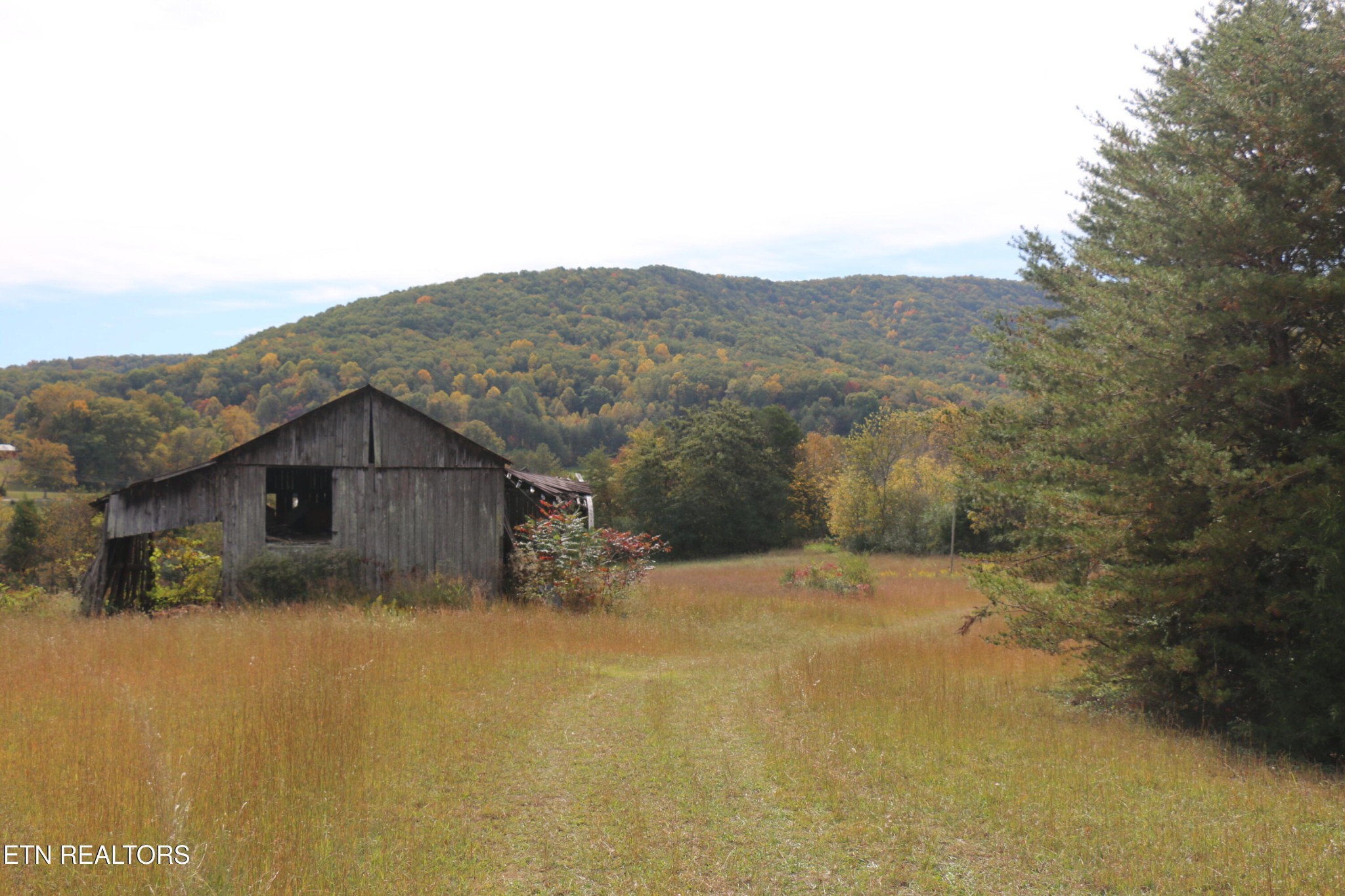 29 Ballplay Road Tellico Plains, TN 37385 - Photo 10 of 20
