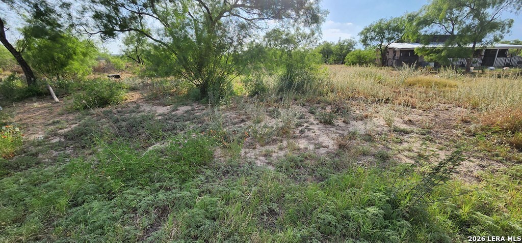 567 Riverside Drive Eagle Pass, TX 78852 - Photo 3 of 5