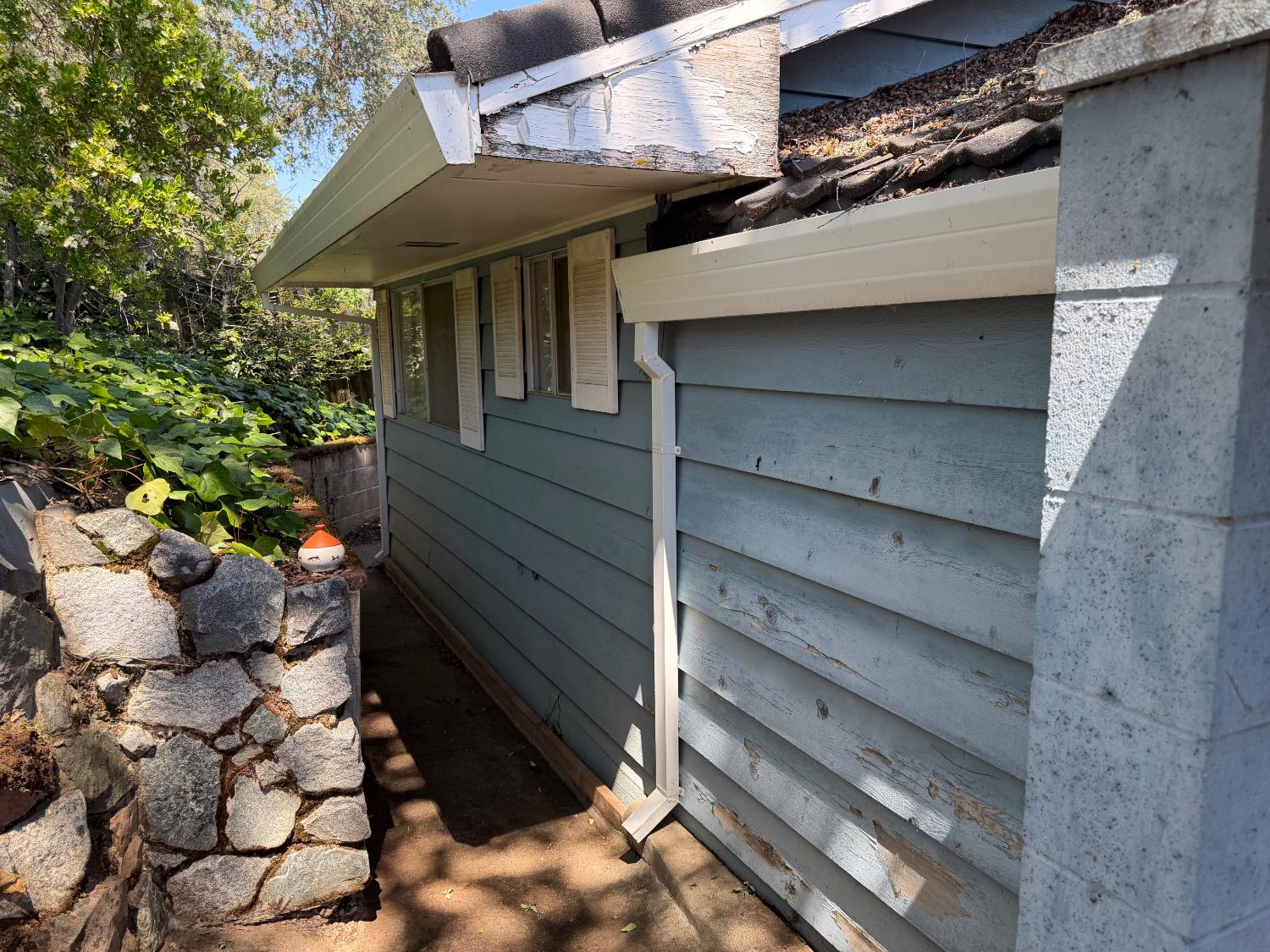 231 Boarman Street Jackson, CA 95642 - Photo 13 of 65