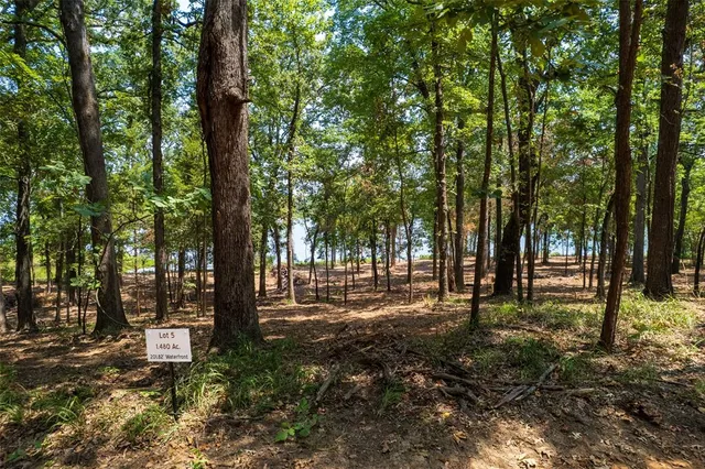 a view of road with trees