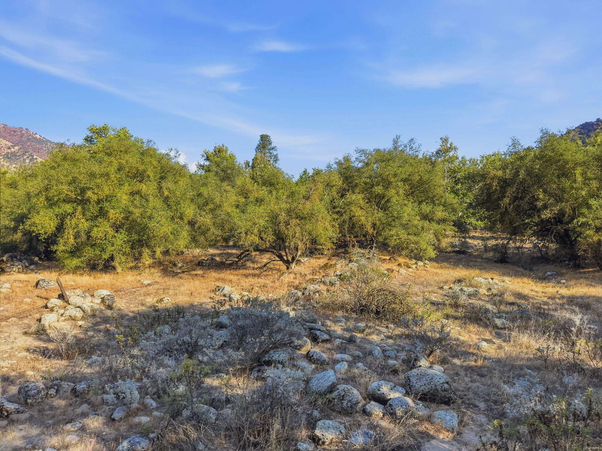 Three Rivers Ca Three Rivers, CA 93271 - Photo 5 of 15 151-Three_Rivers_Lot_2_014