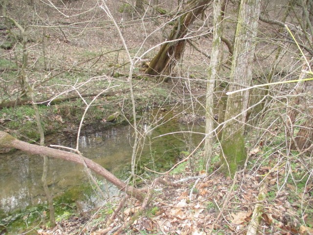 0 Rogues Fork Road Bethpage, TN 37022 - Photo 2 of 5 a view of wooden floor