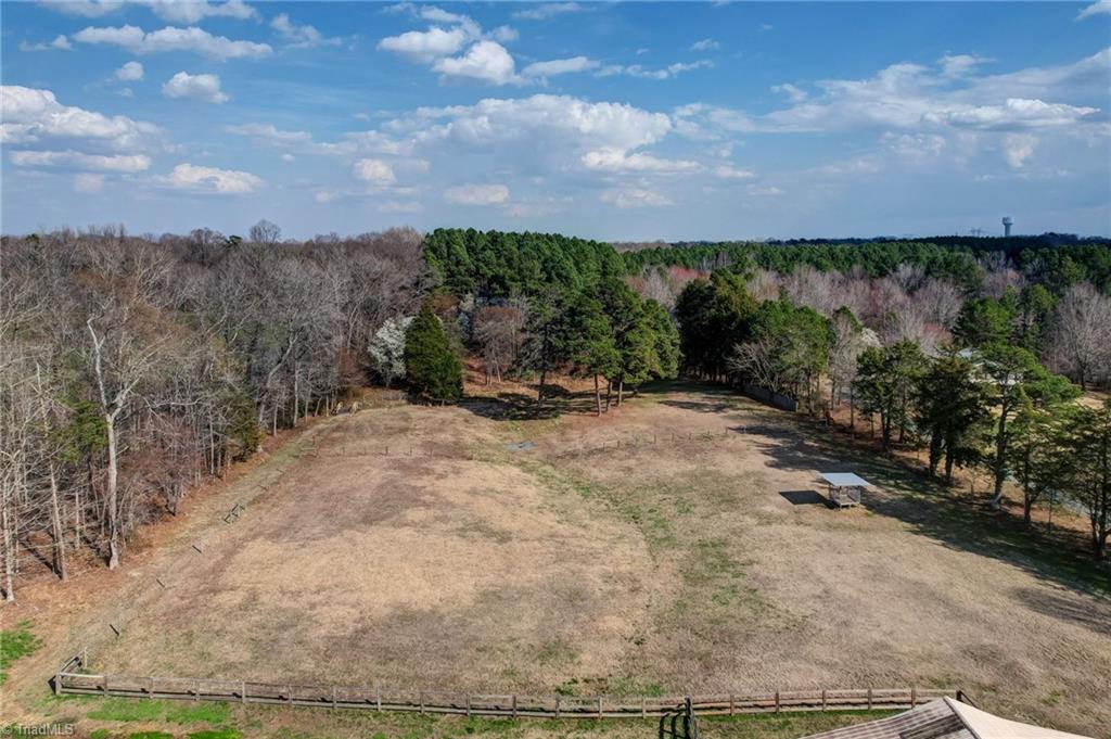 7217 Bulb Road Julian, NC 27283 - Photo 47 of 50